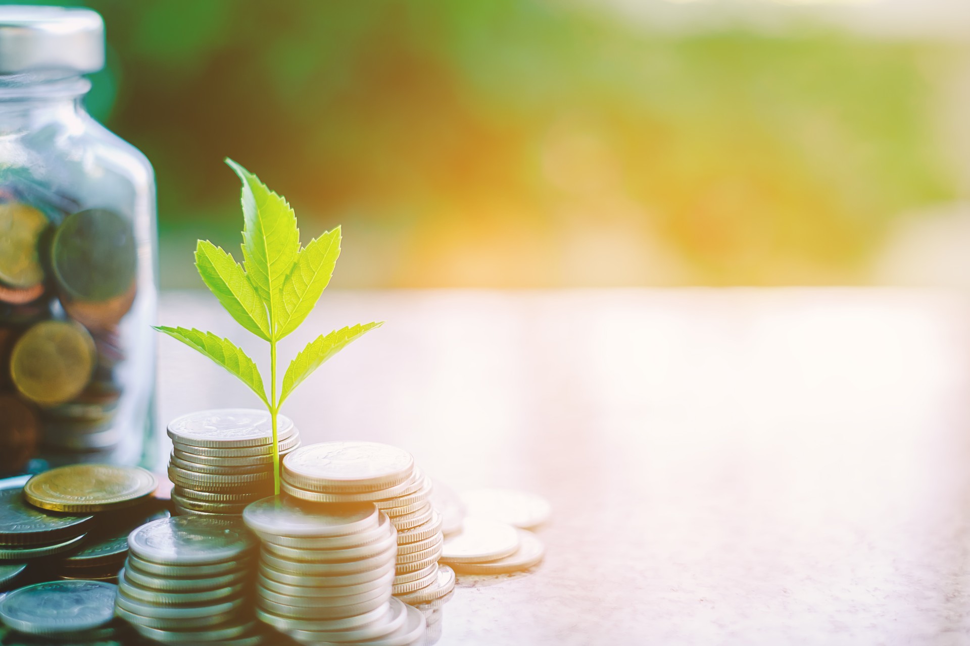 Plant growing from coins outside the glass jar on blurred green natural background with copy space and sunlight effect for investment, business and financial growth concept